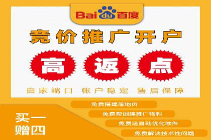 百度广告推广在电商行业的实战案例